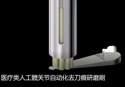 醫(yī)療類(lèi)人工髖關(guān)節(jié)自動(dòng)化去刀痕研磨刷1_副本.jpg